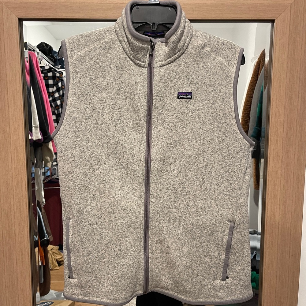 Patagonia Gray Fleece Vest